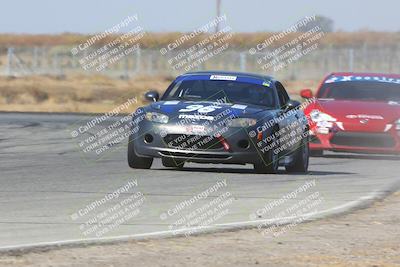 media/Nov-16-2024-CalClub SCCA (Sat) [[641f3b2761]]/Group 4/Star Mazda (Qual)/